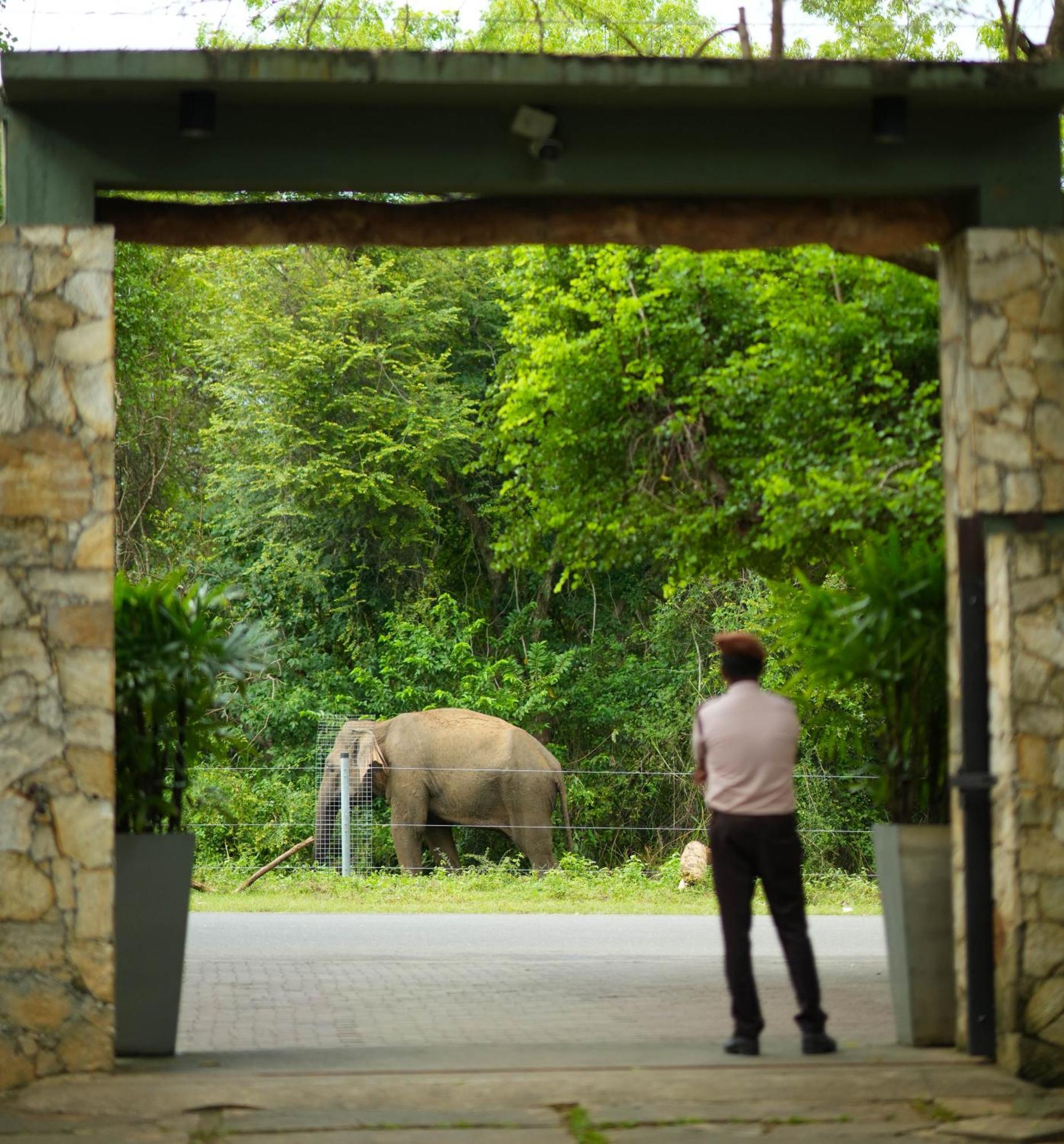Elephant Trail Udawalawe Exterior photo